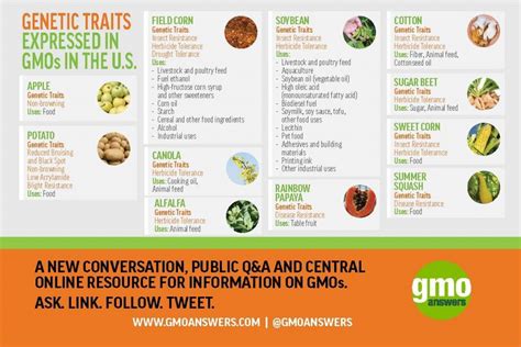 Top 8 GMO myths and the truth behind the information you've been fed | AGDAILY
