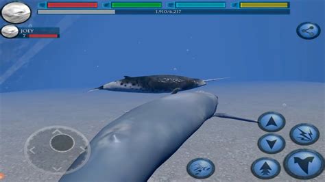 Blue Whale Simulator, Ultimate Ocean Simulator - YouTube