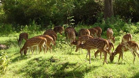 wildlife-sanctuaries-in-pakistan-1404387141-6962.jpg (616×346) | Wildlife sanctuary, Wildlife ...