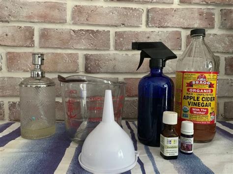 DIY Spider Repellent | Hometalk