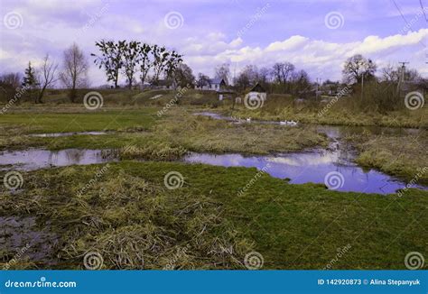 Spring Landscape on the Lake. Nature Stock Image - Image of rural ...