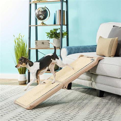 9 Best Pet Ramps for Your Cat or Dog | The Family Handyman