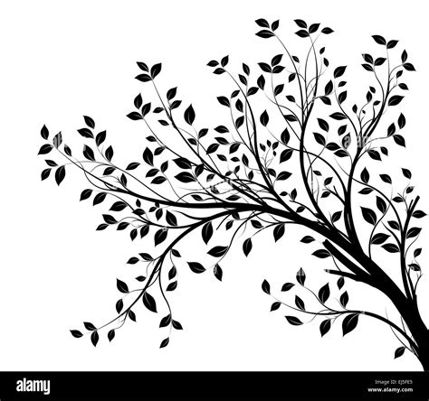 Vector tree branch and foliage silhouette Stock Vector Image & Art - Alamy