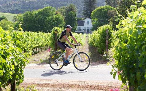 5 of the Best Wine Tasting Tours from Cape Town