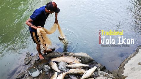 Fish net in a very clear and clean river in the area of the inland forest - YouTube