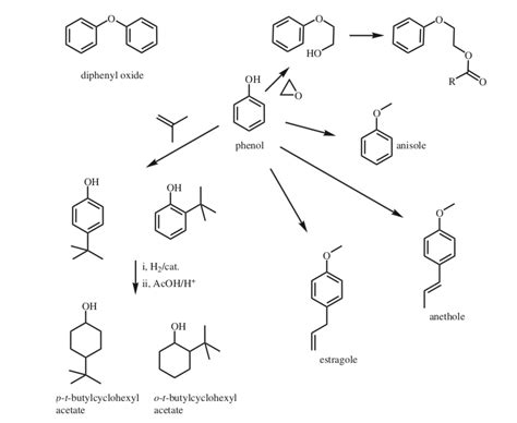 The smell of specific chemical group - Blog — Scentspiracy