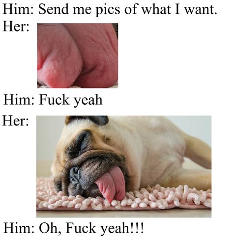 The best pug memes :) Memedroid