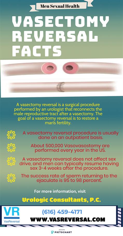 Pin on Vasectomy Reversal