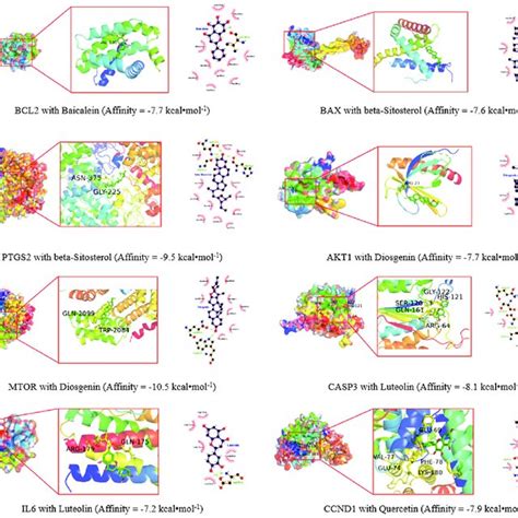 Molecular docking results. | Download Scientific Diagram