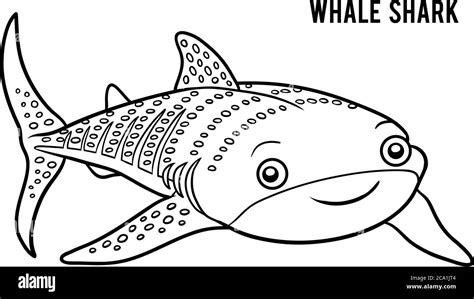 Whale shark outline hi-res stock photography and images - Alamy