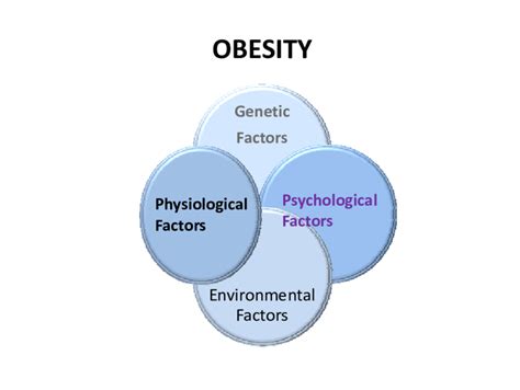 What Causes Obesity? - The Main Factors - Obesity Is Fast Increasing In Africa And Nigeria ...