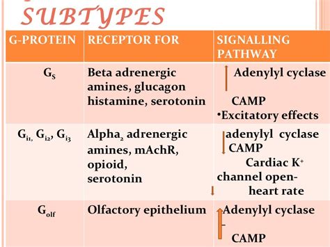 Drug receptors in pharmacology