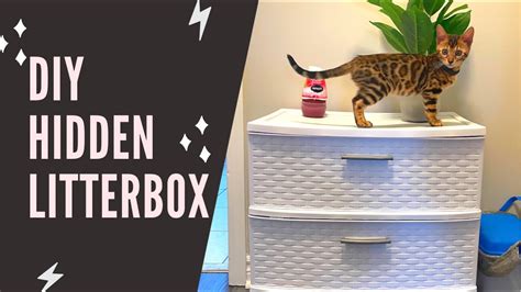 Cat Litter Box Made Out Of Storage Container | Dandk Organizer