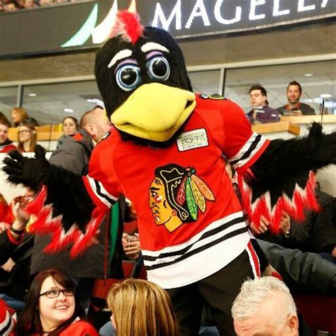 Tommy Hawk, Chicago BlackHawks mascot | Mascot, Chicago blackhawks ...