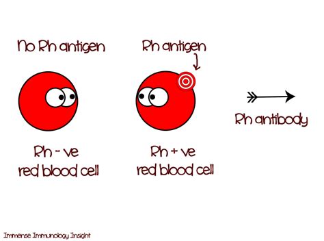 Immense Immunology Insight: Rh incompatibility