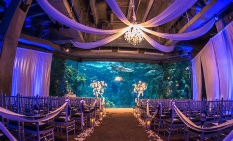 6 Unique San Diego Wedding Venues We Love That You Need to See - Ivory ...