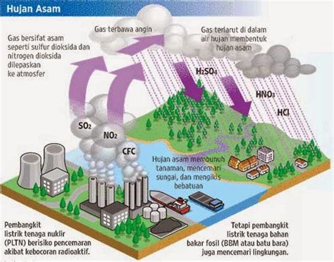 Hujan Asam (Rain Acid) - Taman Bahasa Indonesia #smkn23jkt