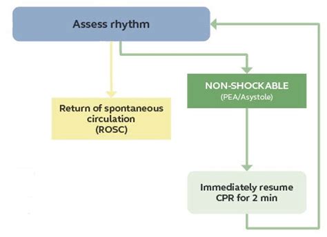 Non-shockable Rhythm Arm of The ALS Algorithm - RCEMLearning India