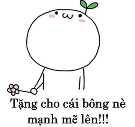 Cam đao bro (Calm down bro) - bình tĩnh đi anh - Ảnh Chế Meme