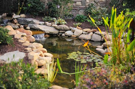 24 Stunning Koi Pond Design Ideas