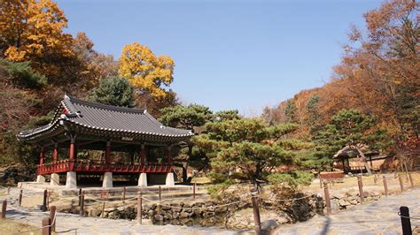 Korean Folk Village Morning Tour