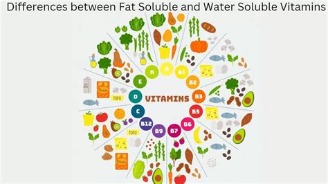 Difference between Fat-Soluble and Water-Soluble Vitamins