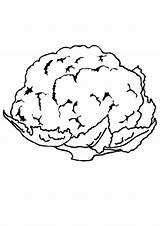 Cauliflower Coloring Page Pages sketch template