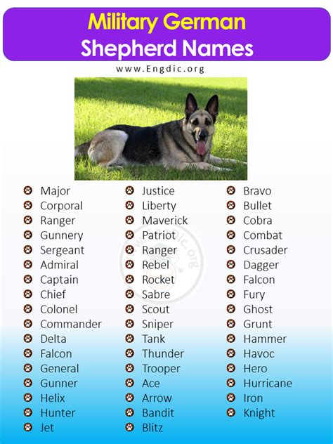 300+ Female German Shepherd Names (Most Popular) - EngDic