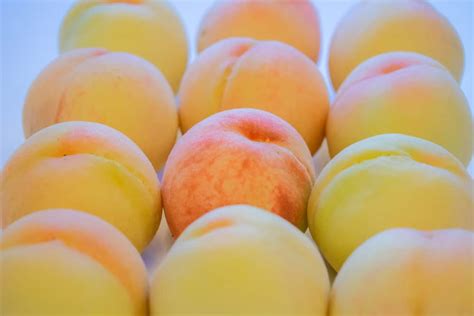 34 Different Types of Peaches