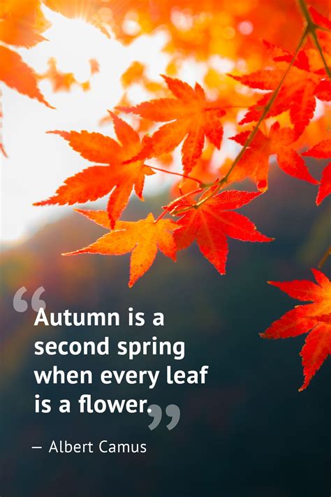 55 Short and Sweet Fall Quotes to Fall in Love With This Season ...