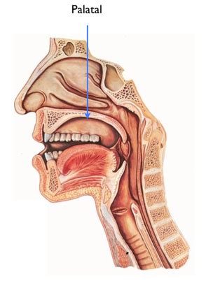 Place of Articulation - The Mimic Method