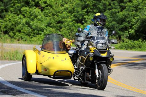 Vespa With Sidecar Dog