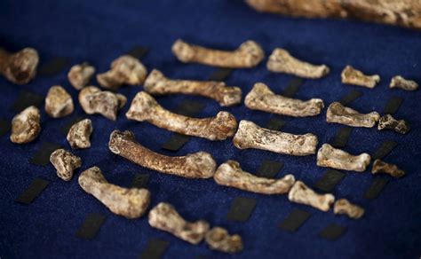 Why the Homo Naledi Discovery May Not Be Quite What it Seems - Newsweek