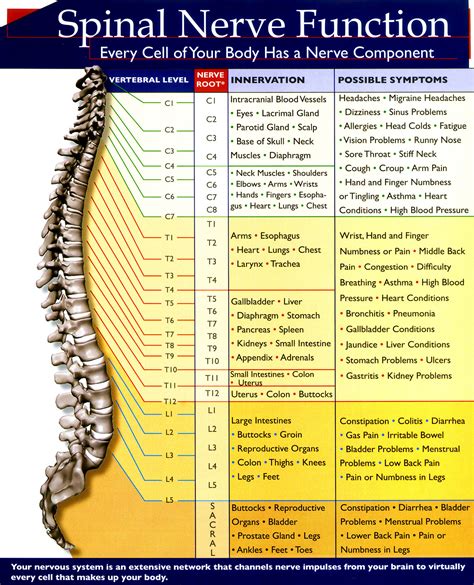 Chiropractor in Louisville CO - FIT Wellness Center