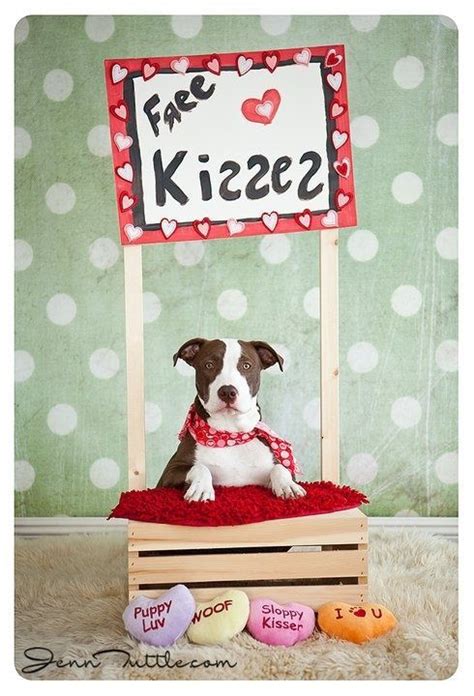 Pet Photography / Prop Ideas ♥ Puppy Love | Pet photography props, Dog photoshoot, Animal ...