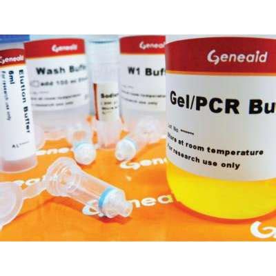 GenepHlow™ Gel/PCR Kit 4 Preps - dnature