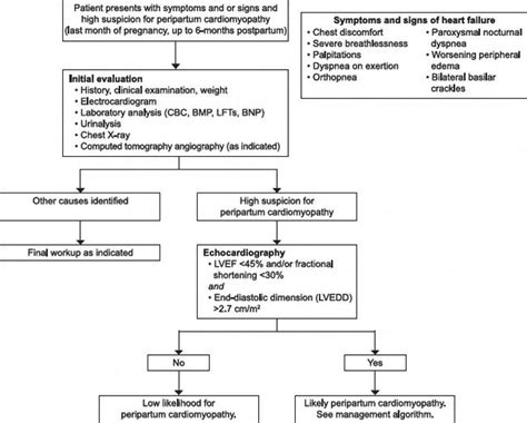 Peripartum Cardiomyopathy: The Hidden Enemy | IntechOpen