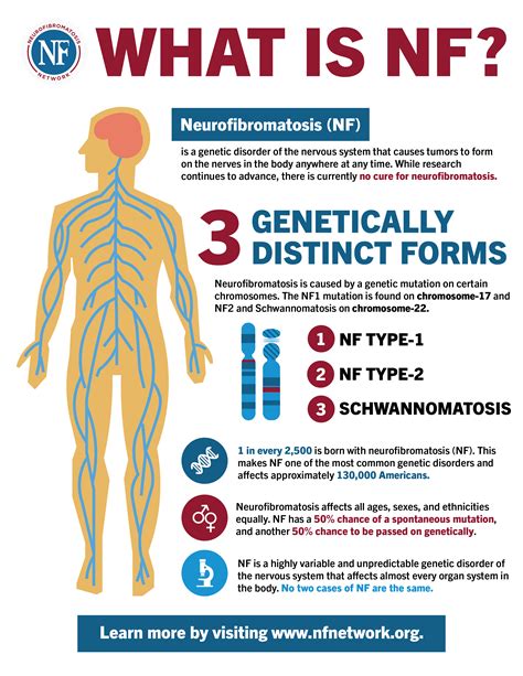 Neurofibromatosis Type 2 Gene