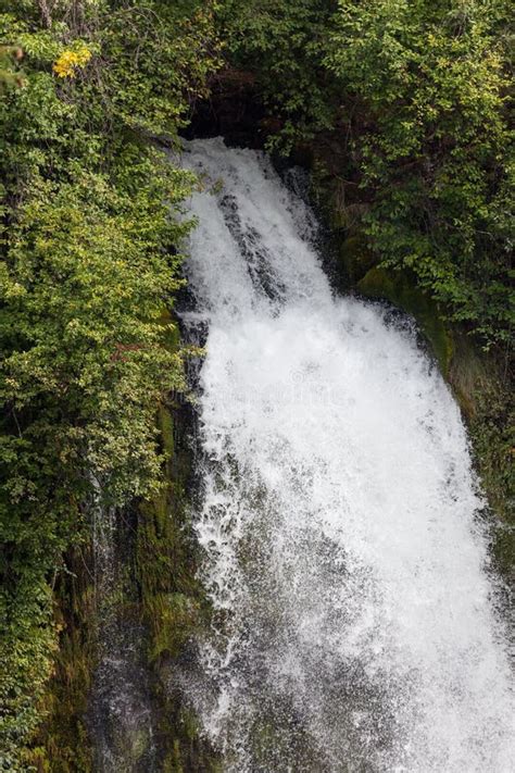 Mill Creek Falls in Prospect, Oregon Stock Image - Image of mill, prospect: 199285555