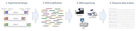 Amplicon sequencing and high-throughput genotyping – Basics – Sixth ...