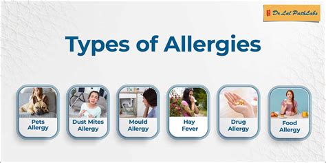 Types of Allergies | Dr Lal PathLabs Blogs