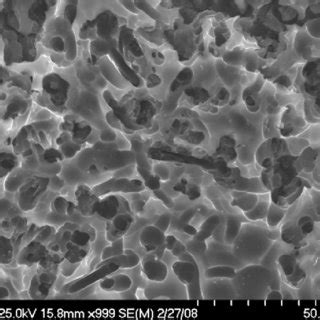 The influence of HF acid etching time on the ceramic surface roughness... | Download Scientific ...