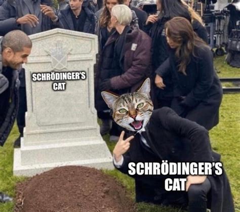 Schrodinger's cat - Meme by BRIcola :) Memedroid