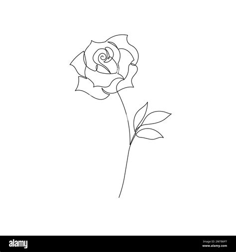 Outline rose flower logo. One continuous line art decorative rose draw ...