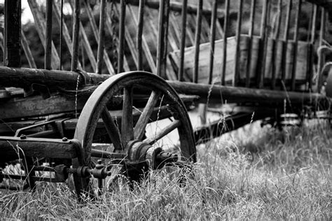 Old Wooden Cart Free Stock Photo - Public Domain Pictures