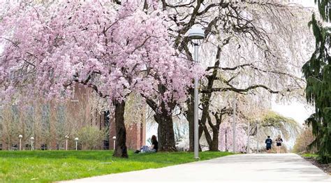 Kutztown University of Pennsylvania - Kutztown University