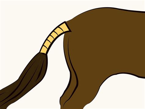 tail clipart - Clip Art Library