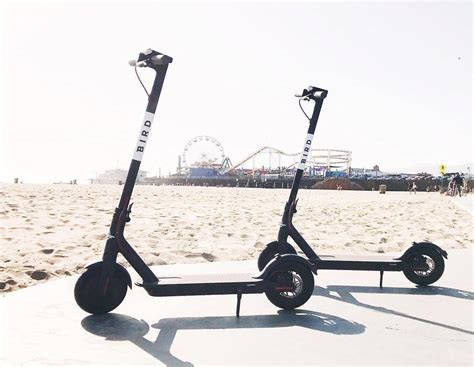 Bird Electric Scooter Is The Latest Eco-Friendly Rideshare