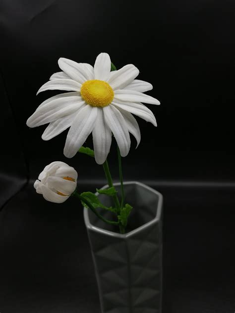 Daisy Wild Flowers Daisy Flowers Bouquet of Wildflowers Flower - Etsy