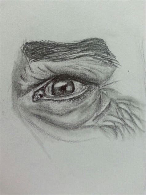 My drawing of old man eye